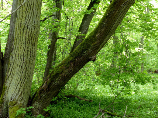 1042106 (a): :2560x1920